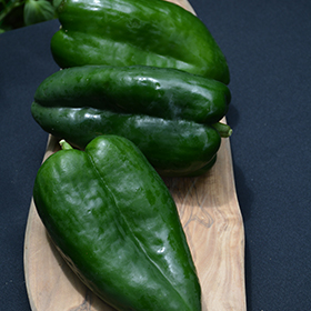 Plant Photo 9